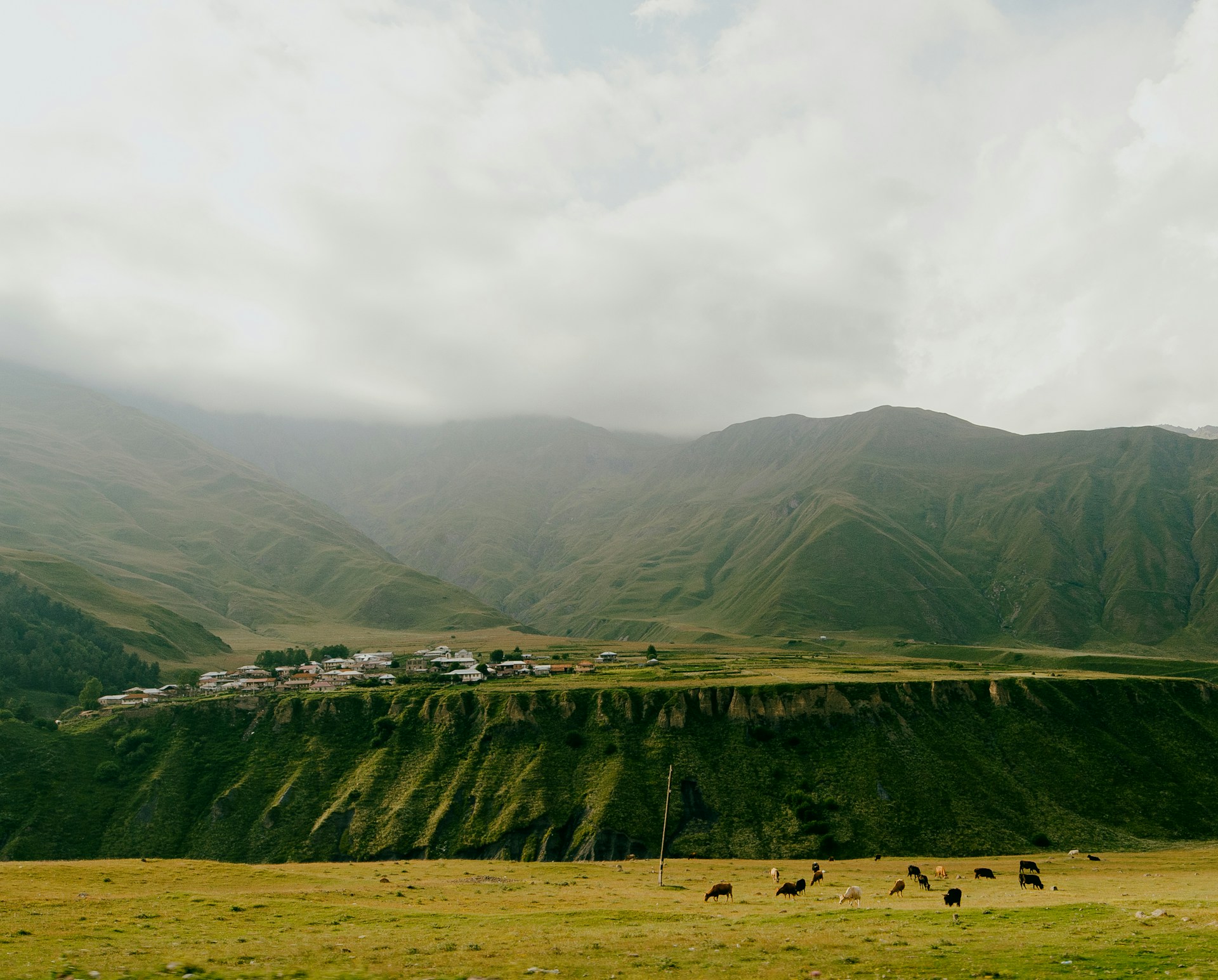 ivan stepanov VNlZX1pcRyw unsplash %sitename%